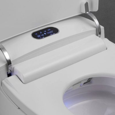 DUMALD Bidet Toilette WC - Bidet Portable pour WC - Toilette Japonaise - WC  j