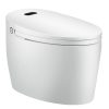 toptoilet-WC Japonais Monobloc Luxe DIAMOND-8