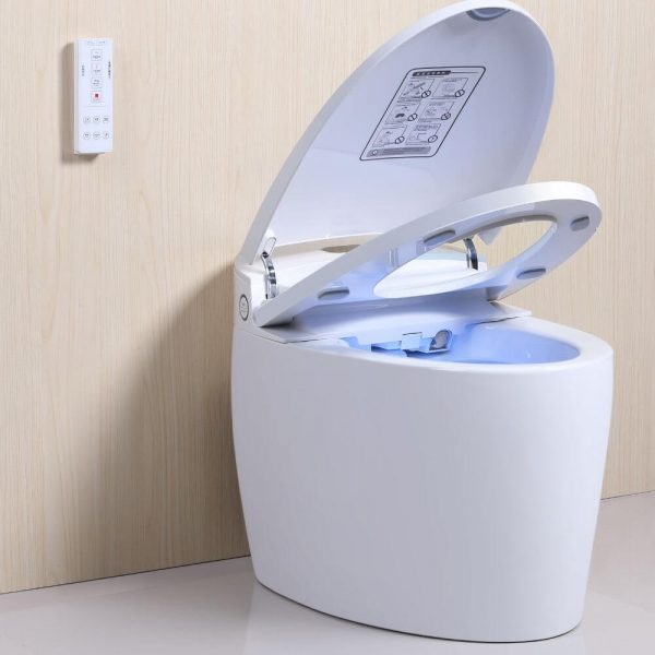 WC Japonais Monobloc de marque TopToilet avec fermeture automatique