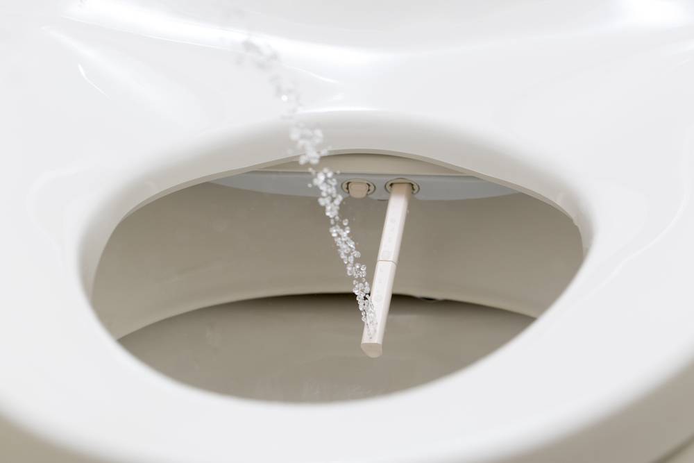 Comment installer et maintenir un WC japonais lavant ?-1