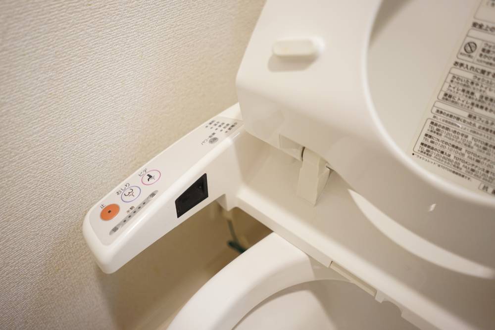 Les chiffres clés du marché des WC japonais lavant-2