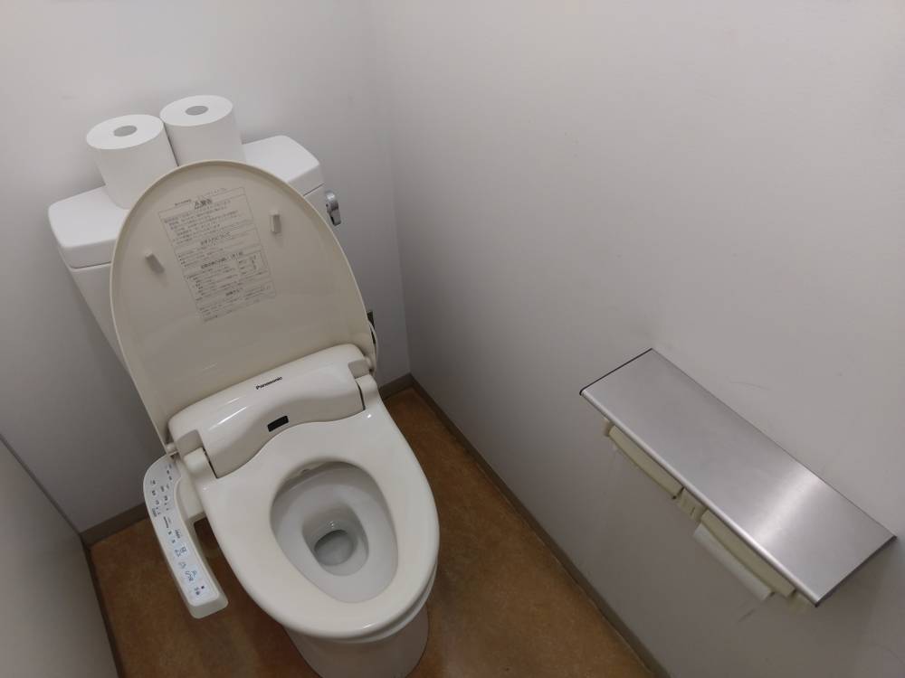 Les systèmes de jet d'eau des WC japonais lavant-1