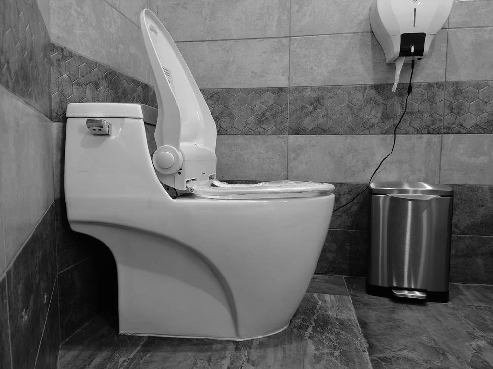 Les systèmes de lavage des WC japonais lavant-2